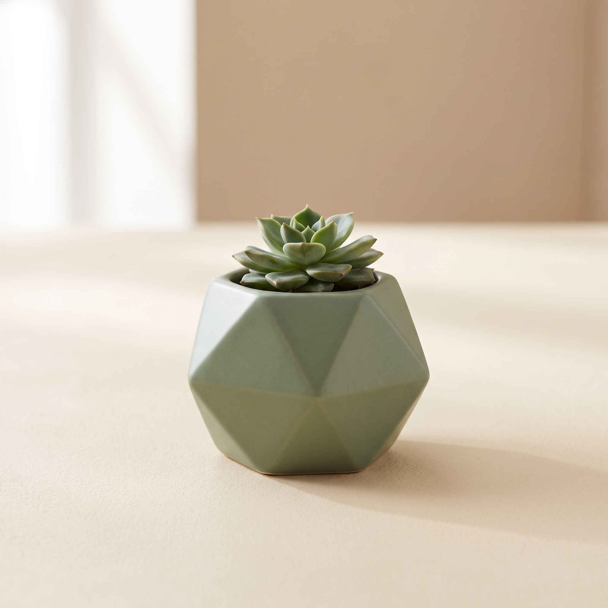 Geometric Planter